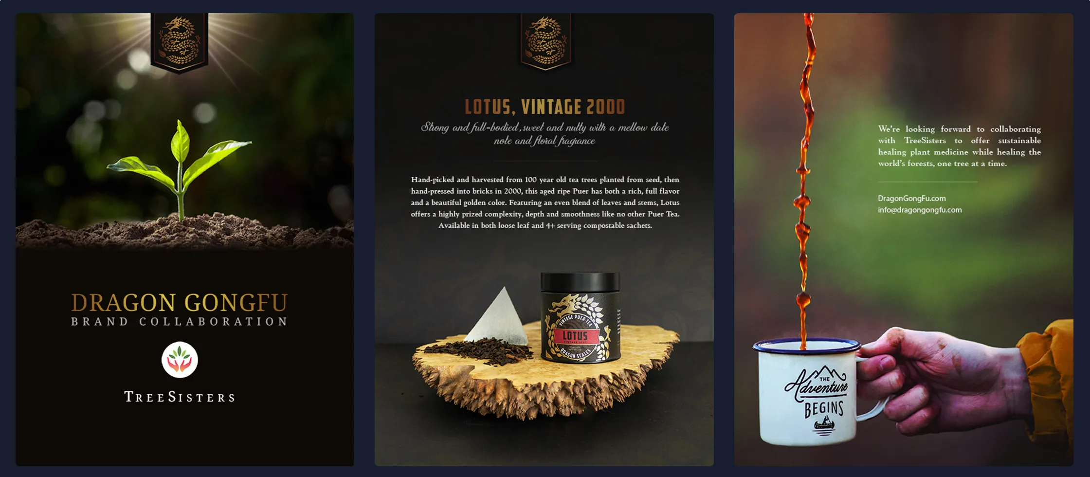 Dragon Gongfu partnership materials: a brand collaboration piece and a product spec sheet